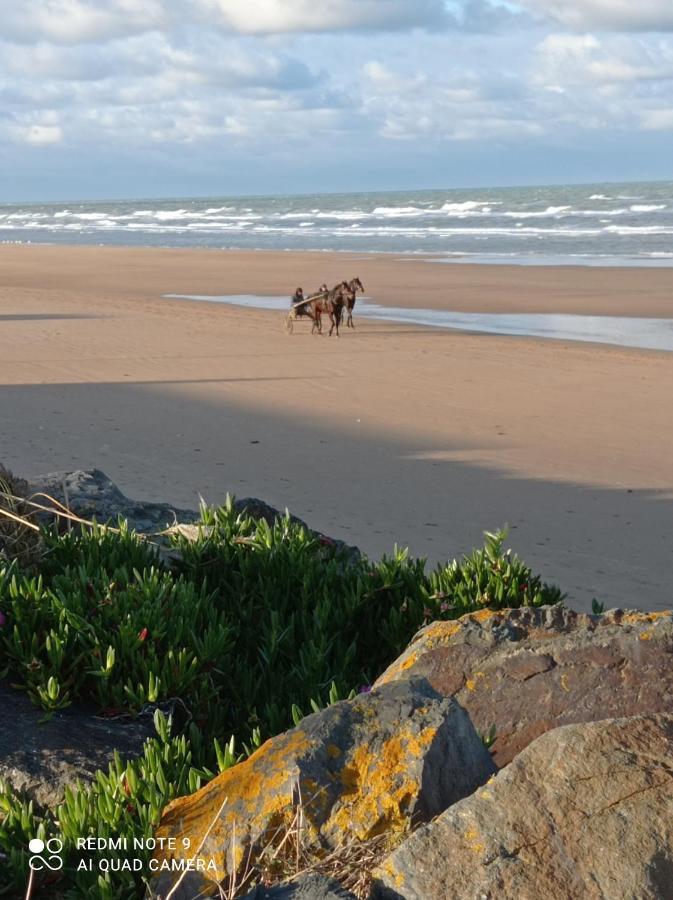 Gite La Hulotte Saint-Laurent-sur-Mer Bagian luar foto